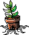 Normal Houseplant
